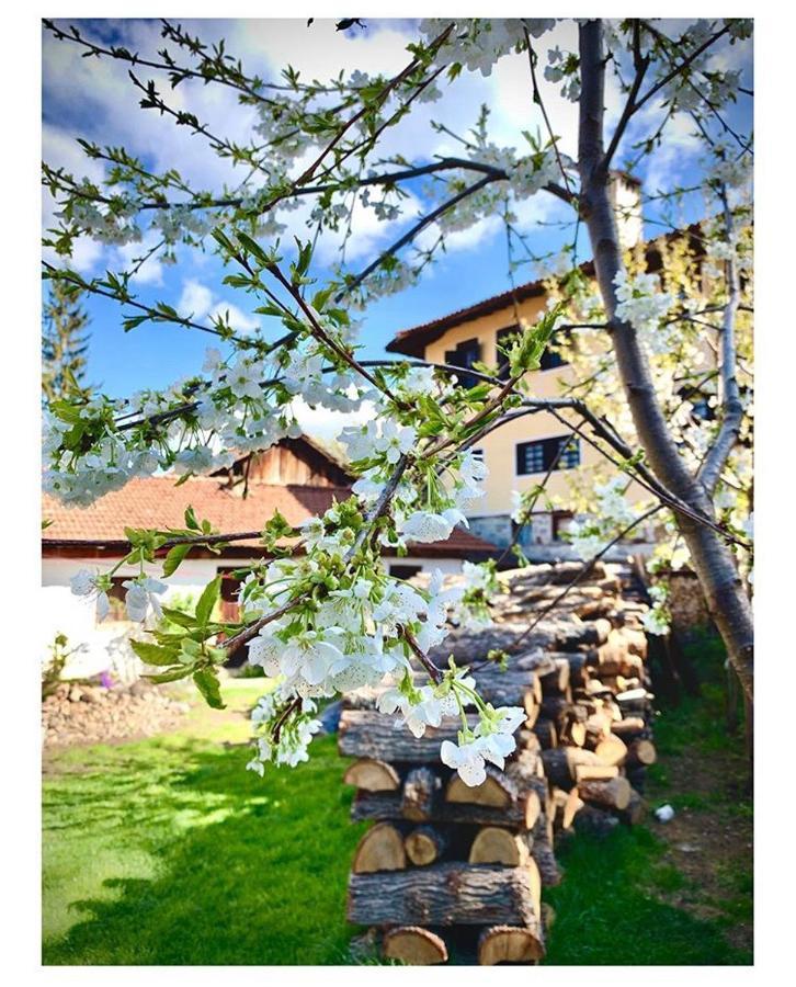 Bobi Guest House Koprivshtitsa Exterior foto